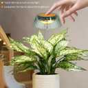 yadoker Small Table Plant Grow Light, LED Growing Touch Lamp with Full Spectrum for Indoor Plants, Height Adjustable, Automatic Timer, 5V Low Safe Voltage, Ideal for Compact Spaces