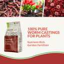 Worm Bliss (1 Qt) - Organic Worm Castings for Plants & Gardening - OMRI-Listed Earthworm Castings for Plants, Vegetables, Flowers, & Potting Soil - Organic Garden Fertilizer Rich in Nutrients (EXP 06/30/28)