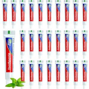100 Tubes Travel Size Toothpaste in Bulk, Mini Small Toothpaste Mint Flavor Toothpastes for Guests Homeless Hotel Charity Toiletries Camping, 0.35oz/10g