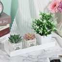 Rainmae 2 Pcs Window Plant Floating Shelves,10.6 Inch Wall-Mounted Plastic Window Sill Extender for Succulent Planters Micro Greens Herb Pots Indoor Shelves for Indoor Bathroom Kitchen Wall Shelf