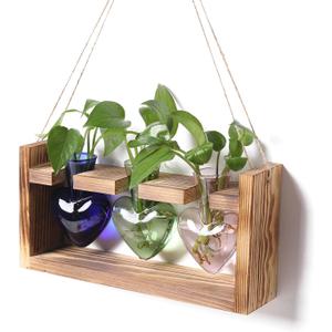 Plant Terrarium Unique Birthday Gift for Women Propagation Stations Home Office Decor Heart Shaped Glass Vase with Wooden Stand