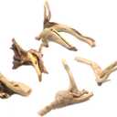 5Pcs Natural Cuckoo Wood for Aquarium, Aquarium Decor Wood Freshwater Fish Tank Reptile Driftwood Branch Length 3.93" to 5.9"