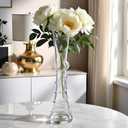 9.8 inches Glass Flower Vases - Modern Glass Vase for Table Centerpiece Vase Decor for Living Room,Library,Office