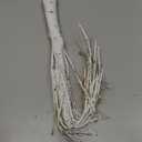 144 LED Artificial Lamp with Timer, DIY Birch Tree with Lights, USB/Battery Powered, Fairy Light Spirit Tree for Table Home Wedding Bedroom Christmas (Warm White) (2ft)