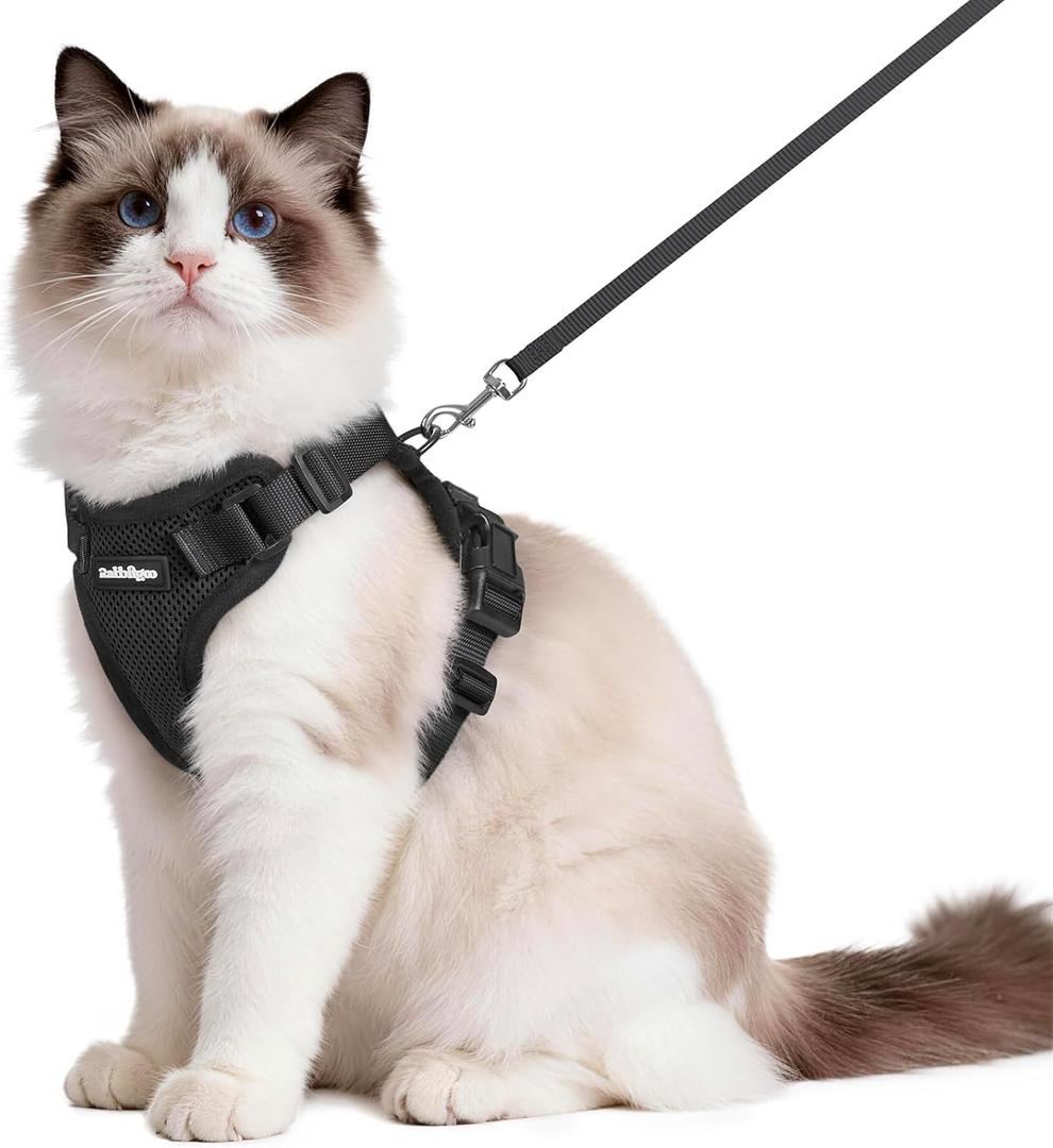 rabbitgoo Cat Harness and Leash for Walking, Escape Proof Soft Adjustable Vest Harnesses for Cats, Easy Control Breathable Reflective Strips Jacket, Black, Medium