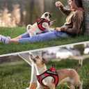 FAYOGOO Service Dog Vest for Small Breed - Lightweight Dog Harness with 6PCS Removable Patches - Puppy Harness and Leash Set for Walking,Training (Red)