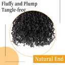 12 Inch Pre-Looped Yanky Twist Crochet Hair, 30 Strands/Pc, Mini Passion Twists, Senegalese Braiding Hair (Natural Black, 8 Pcs/Pack)