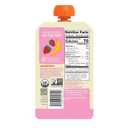 Peter Rabbit Organics Fruit Flavors Variety Pack - Squeezable Snack Pouches, 4 oz. (Pack of 36)