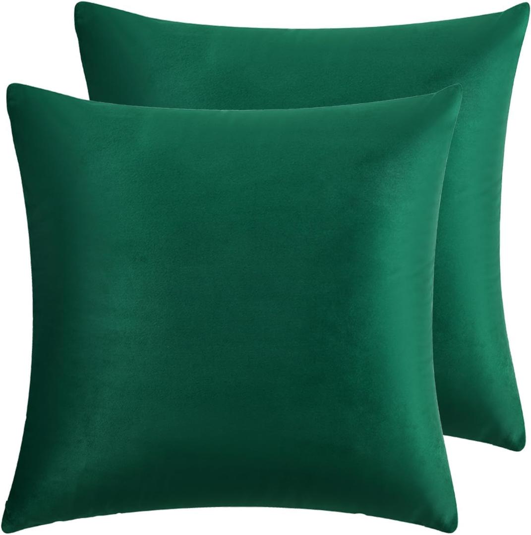 RainRoad Dark Green Throw Pillows Covers Set of 2 Soft Velvet Decorative Pillow Covers 20x20 Inch for Couch Bed Dark Green, 20" x 20" (Pack of 2))