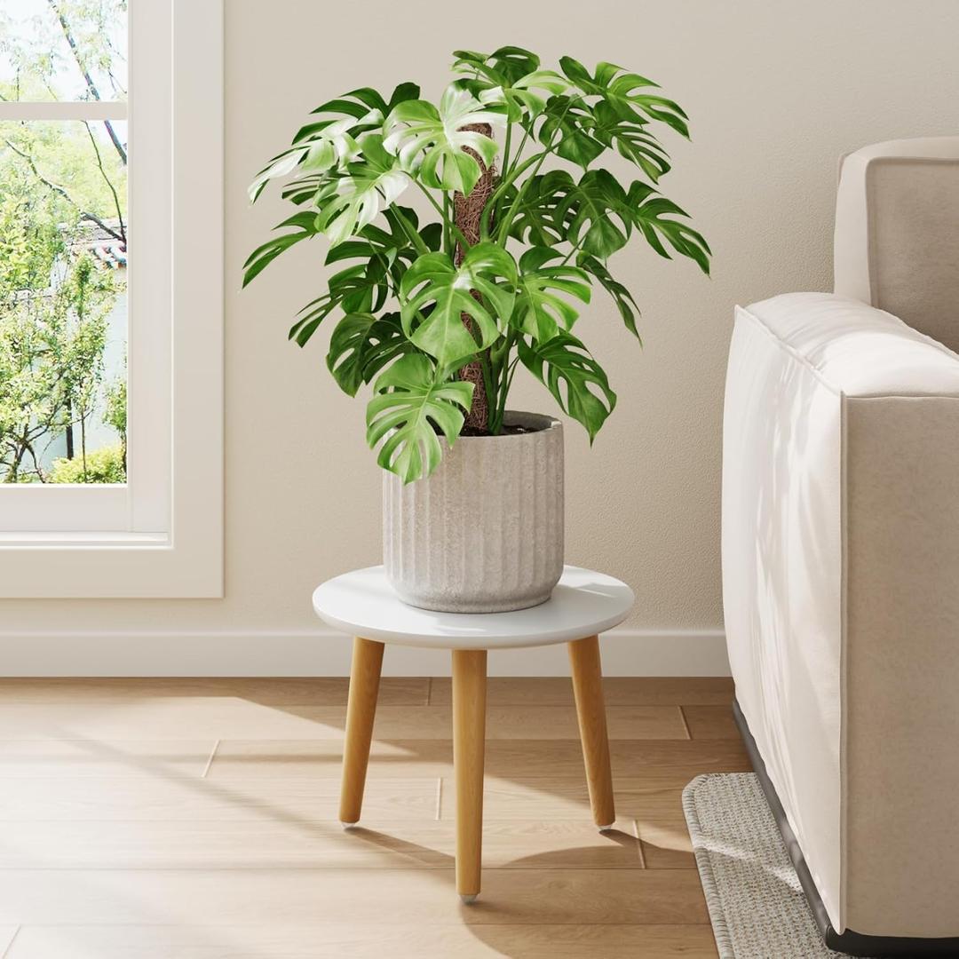Leaf&lull Plant Stand Indoor Small Plant Table for Large Plants Wood Plant Stool Tall Plant Holder for Living Room Bedroom Balcony White (11 x 11 x 8.9 inches)