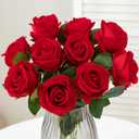 Hawesome 12PCS Artificial Roses Silk Flowers Fake Roses Bouquet Long Stem for Home Wedding Decoration Party (Red)