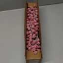 Feitore 30 Pack Snow Frosted Red Berry Stems 8.9" Holly Frosted Berry Picks Snowy Artificial Red Berries for Christmas Tree Filler Picks and Sprays Holiday DIY Crafts Christmas Decor