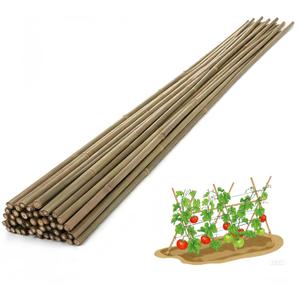 Bamboo Stakes,4Ft,65Pack,Bamboo Garden Stakes,for Tomato,Beans,Vegetable and Flowers, Potted Plants,Indoor and Outdoor Climbing Plants