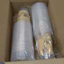 TEASlK 60 Pieces 16oz Magic Wizard Party Cups Disposable Magic Cups Plastic Drinking Cups for Halloween Party Birthday Vintage Castle Party Decoration(Castle)