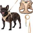 AMTOR Small Dog Harness with Leash Set, No Escape Easy Walk Puppy Harnesses for Training Walking, Step-in Reflective Soft Dogs Vest for XS S Medium Extra-Small Large Sized Dog(Beige,S)