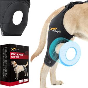 Dog Knee Brace for Torn ACL Hind Leg, Support for Patella Dislocation or Osteoarthritis, Cruciate Ligament Injuries, Cut-Out Non-Slip Wrap Promotes Patellar Stability((Right Leg,L)