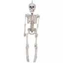 Halloween Skeleton Decorations, 20" Full Body Plastic Mini Little Skeleton Posable Joints Poseable Skeleton for Skeleton Halloween Party Hanging Decoration Yard Lawn Garden Patio Decor