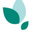 Amazon Basics Ultra-Force Tall Kitchen Drawstring Trash Bags, Classic Clean Scented, 13 Gallon, 80 Count with Odor Control