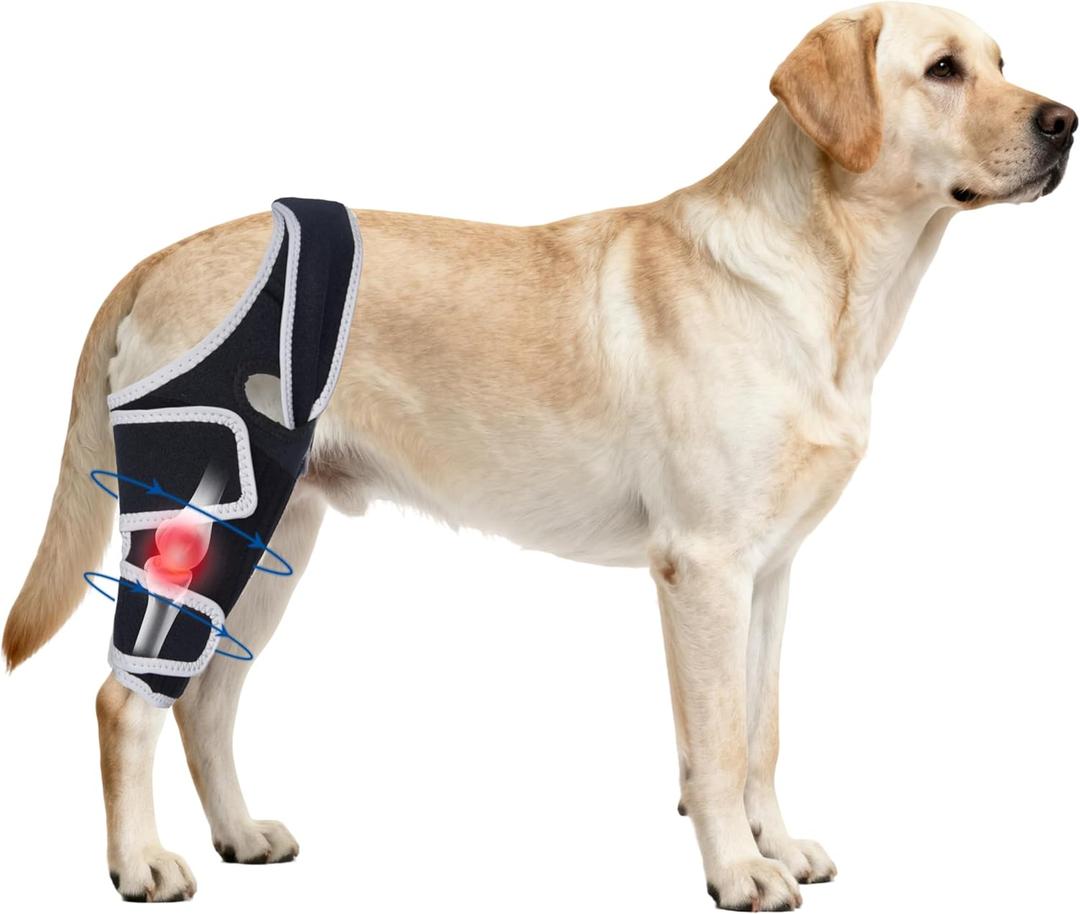 Knee Brace for Dogs All Leg, Adjustable Dog Knee Brace for Torn Leg -Keeps Joint Warm and Stable, Extra Support, Reduces Pain (Size M)