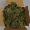 Bedsure GentleSoft Christmas Throw Blanket for Couch - Cozy Soft Blankets for Women, Cute Small Fleece Christmas Throws Gifts for Teens Girls Room Home Decor, Moss, 50x60 Inches