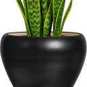 Deep Dream 8 Inch Plant Pot - Ceramic Pots for Plants with Drainage Hole and Trays, Modern Round Flower Pot, Planters for Indoor Outdoor Plants, Home Garden Decor, Black