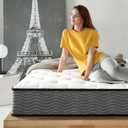 ZINUS 10 Inch True Support Hybrid Mattress [New Version], Queen, Fiberglass Free, Medium Feel, Motion Isolation, Certified Safe Foams & Fabric, Mattress in A Box (White)