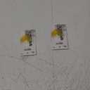 Nokya Hyper Yellow 7443 12V 21/5w 20mm Mini-Bulb NOK6205 (Pack of 2)