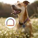 4 x 10pcs Metal D Ring Spring Key Hooks Keyring Clip for Keychain Buckle, Backpacks Handbag Purse Hardware, DIY Crafts (Rainbow)