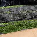 XLX TURF Outdoor Artificial Grass Rug 5FT X 7FT, Green Fake Grass Carpet Floor Mat for Balcony, Patio, Backyard, Extra Large Pets Grass Pad for Dogs