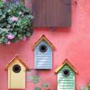 Bluebird Bird Houses for Outside Clearance - Set of 3 Nest Box with Stainless Steel Predator Guard - Alaskan Red Cedar Shingles Roof - UV Painting - 10 Years Outdoor(Beach Hut Houses)