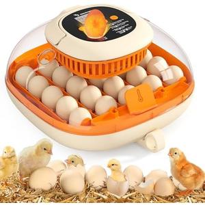 [2024 Upgrade] 25 Egg Incubator, Automatic Egg Turner with Thermometer Seat and Humidity Control, Egg Candler, 360° View with Clear Window, Incubators for Hatching Chicks (Sunlit Orange)