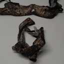 Aimedalis Sexy Mesh Leopard Print Lingerie Sets For Women Cute Bra And Panty Sets For Women (Leopard L)