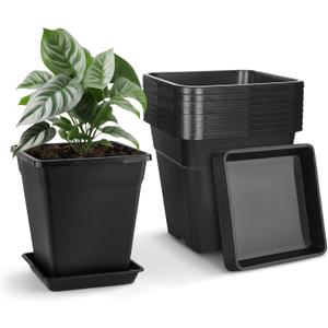 8 Pack 5 Gallon Large Square Nursery Pots 12 Inch with Drainage Saucers Black Plastic Plants Pots Outdoor Garden Planter Container for Indoor Outdoor Vegetables Flower Succulent Gifts, 12.4 inches