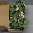 6FT Artificial Eucalyptus Garland with Flowers, 10 White Roses Baby Breath Garland Floral Greenery for Wedding Party Centerpiece Table Runner Backdrop Wall Decor Decoration