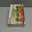 VANGOLD (2-Pack) Bring Nature Indoors Artificial Succulents in Fashionable Golden Flower Pots - Perfect for Home, Office, and Event Decor