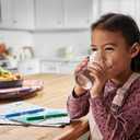 FRIGIDAIRE ULTRAWF Pure Source Ultra Water Filter, Original, White, 1 Count