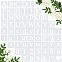 65 Pcs 4 Inch Plastic Painting Stencils Reusable Letters Numbers and Symbols Stencil Art Crafts Interlocked Drawing Templates Set for Wood, Walls, Fabrics, Rocks