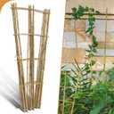 10 Pack 4ft Bamboo Trellis for Climbing Plants - Fan-Shaped Support Trellis for Potted Plant Decor in Door