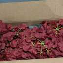 Auihiay 46Pcs Burgundy Hydrangea Artificial Flowers Silk Hydrangeas
Artificial Hydrangea Flowers with Stems for DIY Wedding Centerpiece, Garden, Home, Party, Baby Shower Decor