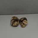 HOOJIH 2PCS Messy Bun Hair Piece, Tousled Updo with Tendrils Bun Extensions Wavy Curly Hair Wrap Ponytail Hairpieces for Women HB010 Dasiy - Medium Blonde with Highlights