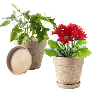 Melphoe Plant Pots Indoor with Drainage & Saucer, 2Pack 8 inch Flower Pots Outdoor Planters for Indoor Plants Garden Home Decor Cactus Succulent, Rigid Plastic (Imitation-Terracotta) Vine-Embossed (Undecorated Pottery Color)