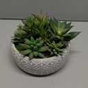 Artificial Succulent Plants Faux Potted Indoor with Ceramic Pot - Fake Plants for Bedroom, Bathroom, Home Office, Coffee Table Decor - Desk & Room Aesthetics