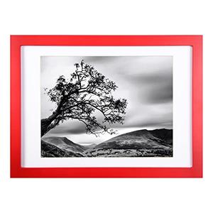 BOJIN 10x14 Picture Frames Red, Solid Wood Display Pictures 8.5x11 with Mat or 10x14 Without Mat, Wall Hanging Document Certificate Photo Frame