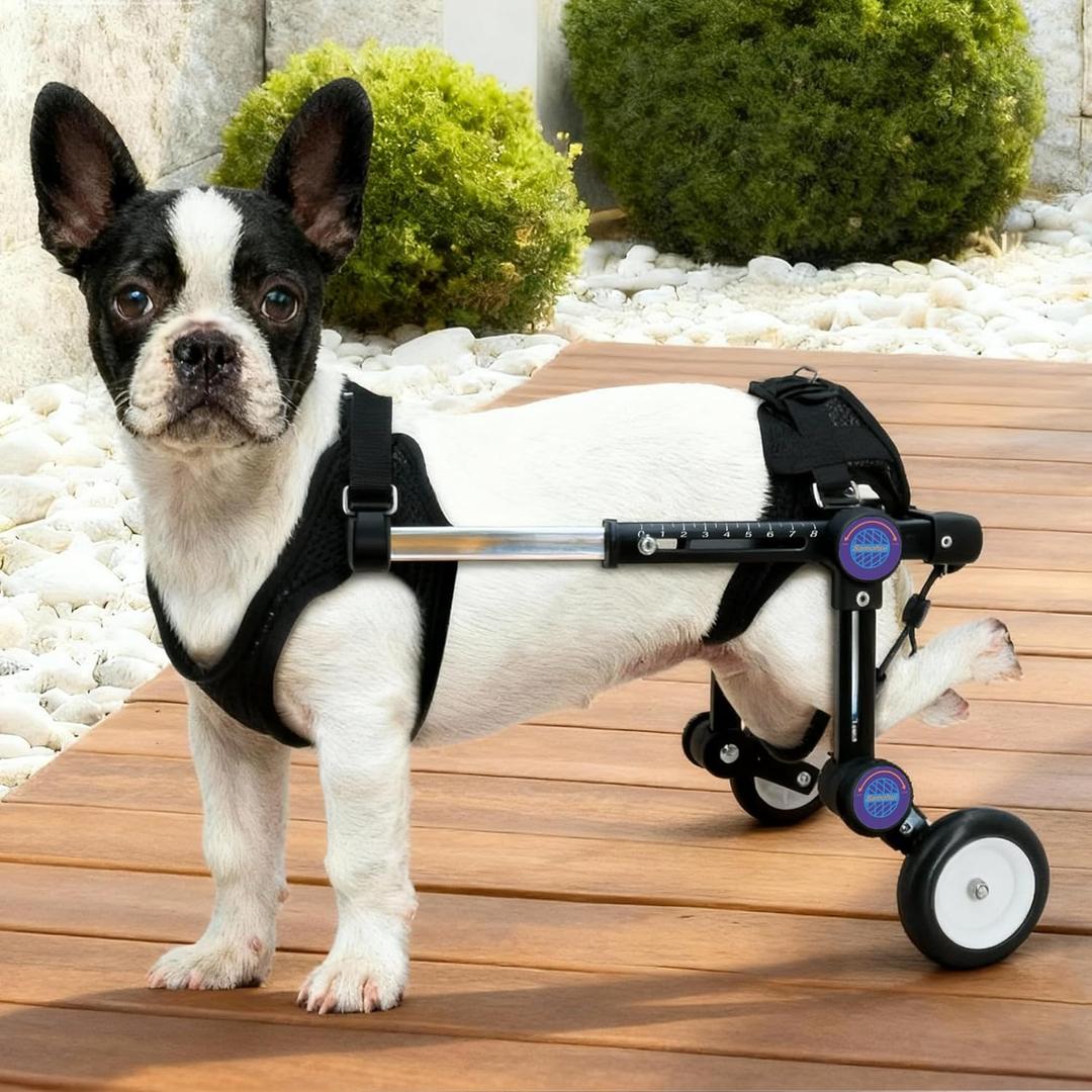 Adjustable Dog Wheelchair for Hind Legs Support, Lightweight Pet Mobility Aid for Disabled or Injured Dogs, Stable Walking Dog Cart