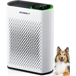 Air Purifier for Home Large Living Rooms & Open Spaces, HEPA Filter, Quiet Sleep Mode Removes Dust, Smoke & Pet Dander