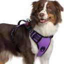 rabbitgoo Dog Harness, No Pull Pet Harness with Soft Padded Handle, Adjustable Reflective Vest with 3 Buckles, Easy Walking Harness with 2 Leash Clips, Purple, XL