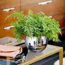 6" Spherical Convex Mirror Glass Bowl Vase - Safety Cubicle Reflector & Desktop Rearview Mirror to See Behind You for Office/Home Décor, Floral Arrangements, Planter Storage (Silver)