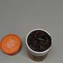 Dont Die in The Woods - Emergency Sleeping Bag with Hood - Made with Extra Thick Thermal Mylar - 10 Essentials Hiking Camping Blanket, Survival Gear Tactical Car Disaster Bug Out First Aid Kits Orange