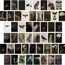 TRAMIN Moody Dark Academia Decor, Vintage Dark Academia Wall Art Prints, 50Pcs Victorian Gothic Decor for Home, Witchy Goth Wall Collage Kit (4x6)