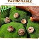3 x Angoily Natural Acorn Shells 50Pcs 0.78In Dried Acorn Craft Decorations for Autumn Wedding Christmas Tree Photo Props Home Party Hanging Ornaments